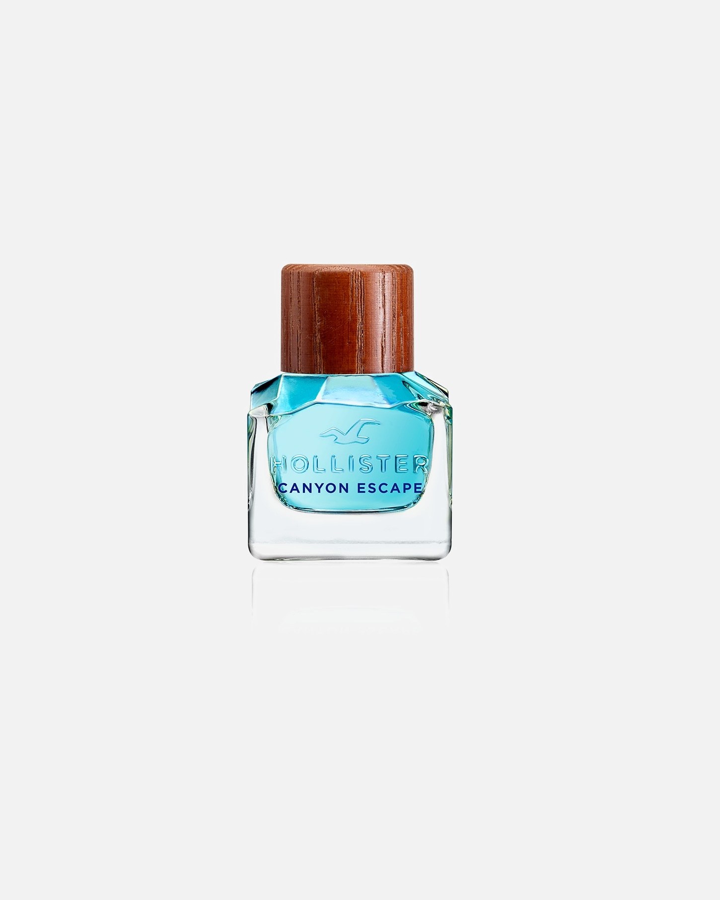 Hollister toaletna voda Canyon Escape za moške - 30 ml