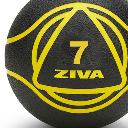 Ziva Essentials - Medicijnbal 7 kg