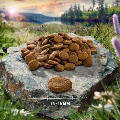 Purizon Croquettes pour chien adulte à la viande unique - Poulet sans céréales et à la citrouille