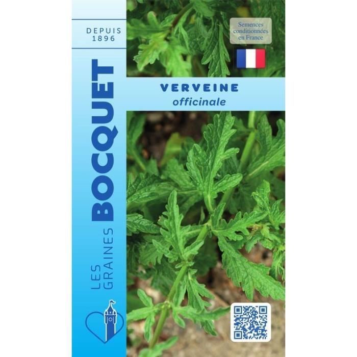 Semilla - Verbena