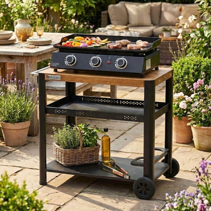 Plancha de gas Alma de 3 quemadores - COOKING BOX BY FAVEX - Placa de acero esmaltado - 3 quemadores de 7,2 kW - Superficie de cocción de 61 x 34 cm - Para 8 personas - Negra