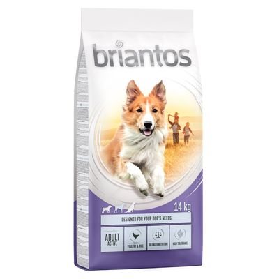 Briantos Actieve Volwassenen