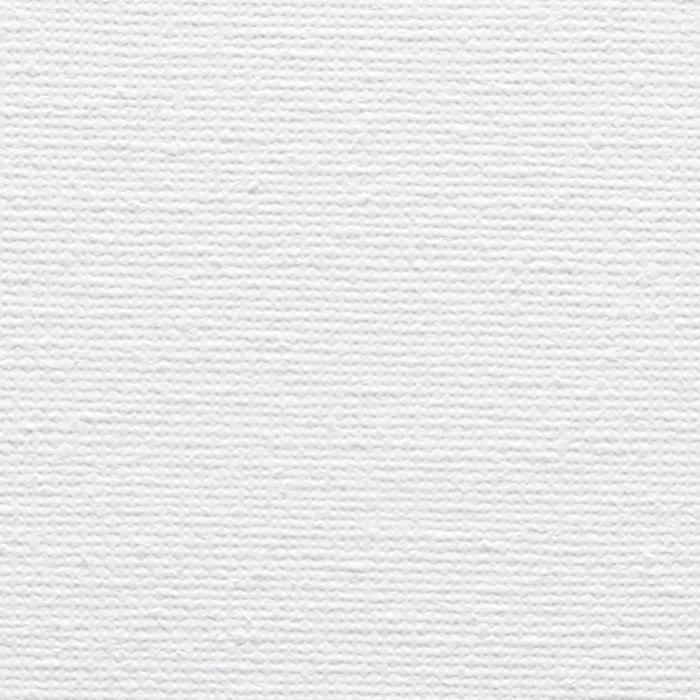 Artina Akademie – Juego de 5 lienzos con marco de madera de 40x50 cm – Pre-pintados dos veces – 100% algodón – 280 g/m²