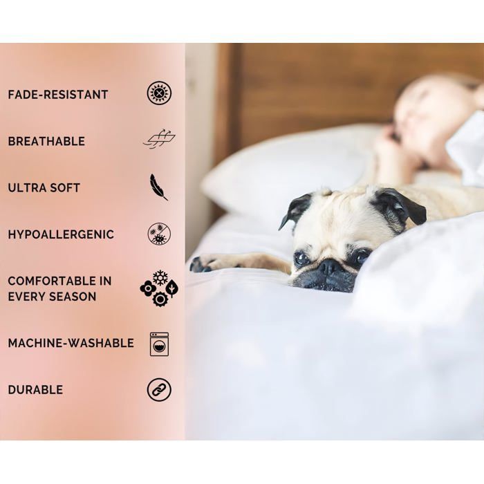 Funda nórdica infantil de 140x200cm con un bonito diseño de capibara, juego de ropa de cama de microfibra con estampado floral de dibujos animados para niñas y niños con fundas de almohada.