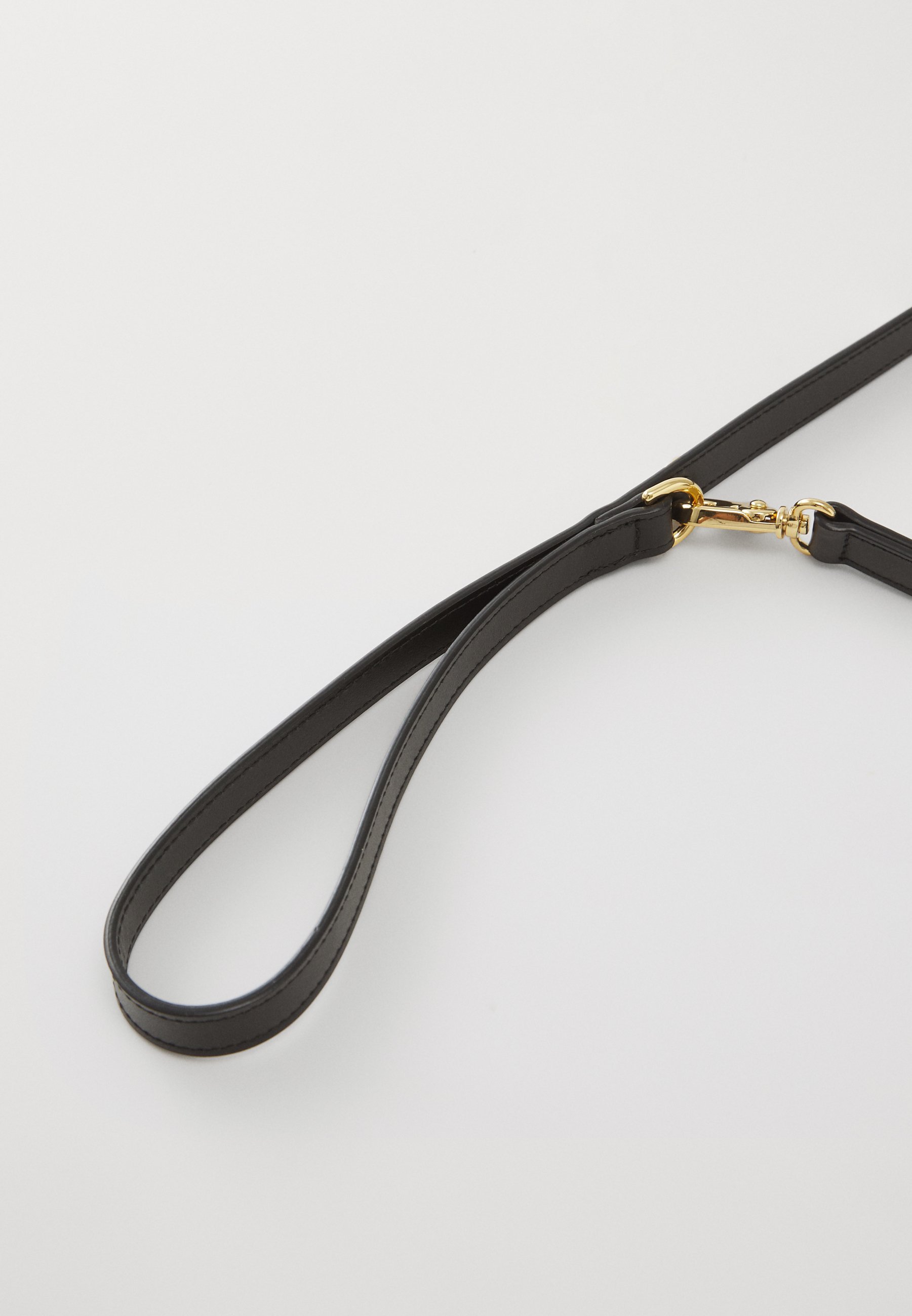 Versace Pet