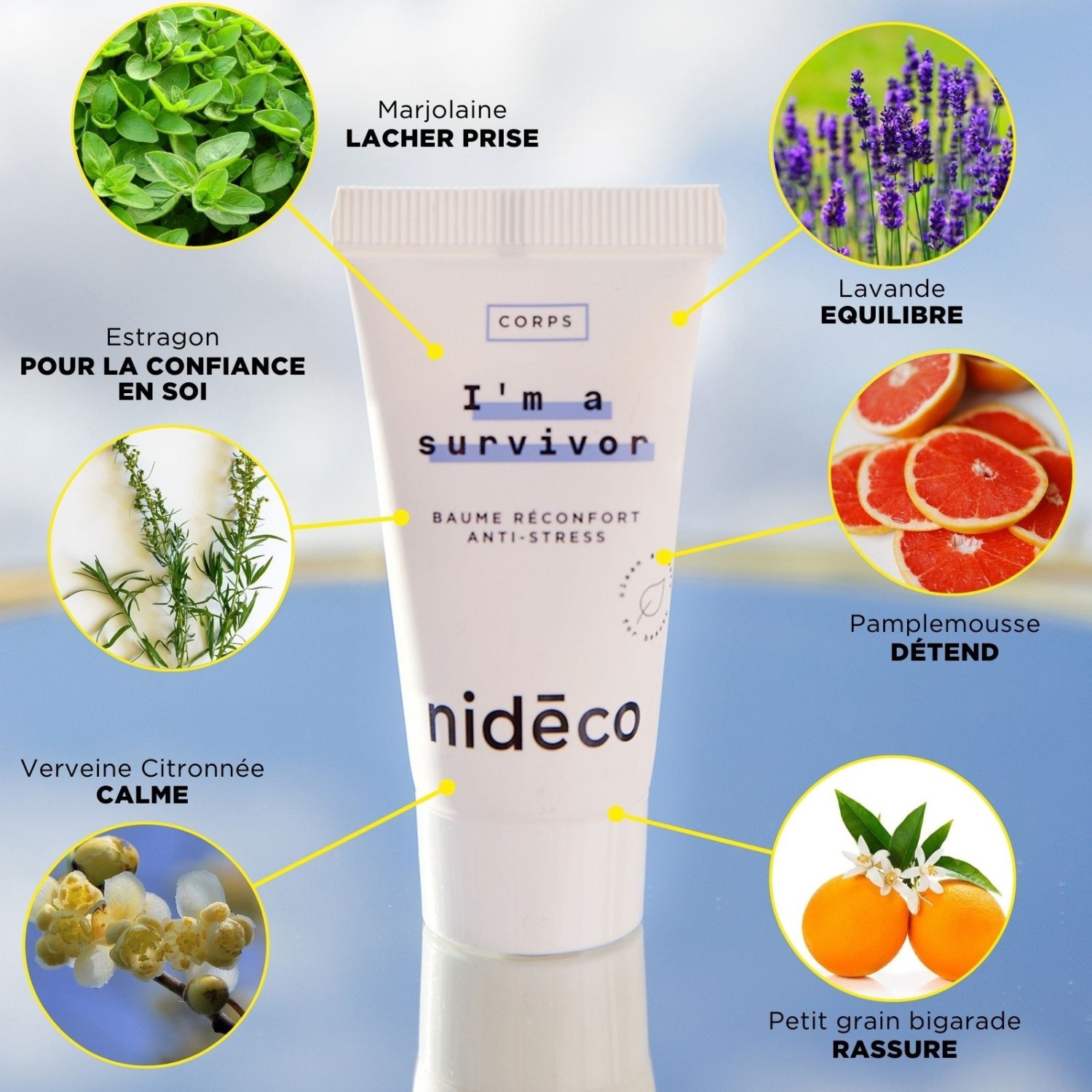 Nidéco I'm A Survivor