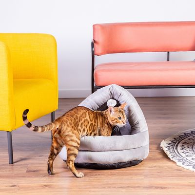 Modern Living Fes Cuddle Den