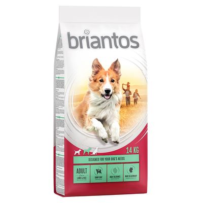 Briantos Agnello e Riso per Adulti