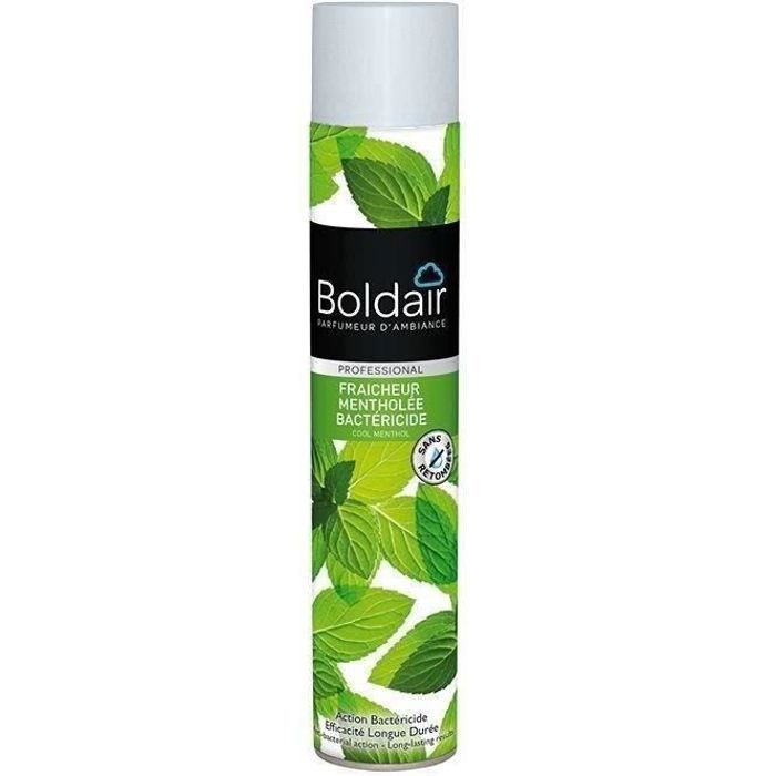 Désodorisant bactéricide Fraîcheur mentholée - 500 mL