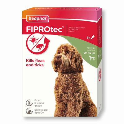 beaphar FIPROtec® Spot-on gegen Flöhe und Zecken für Hunde - L (20-40 kg)