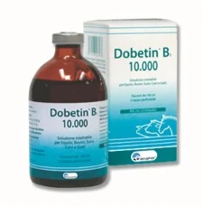DOBETIN Dobetin B1 10000 frasco 100ml vitaminas