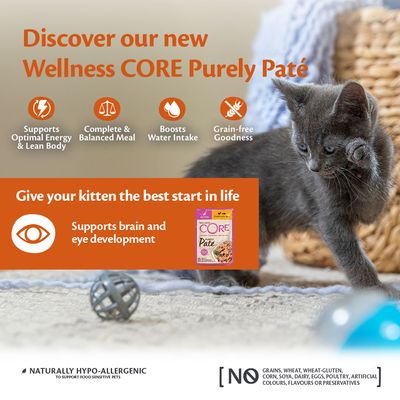Pâté humide Wellness Core Purely pour chats