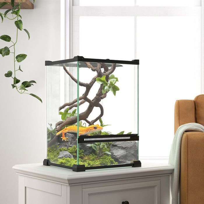 Terrarium en verre pour reptiles - PawHut - vivarium 12 L avec couvercle en treillis métallique - 20 x 20 x 30 cm - noir