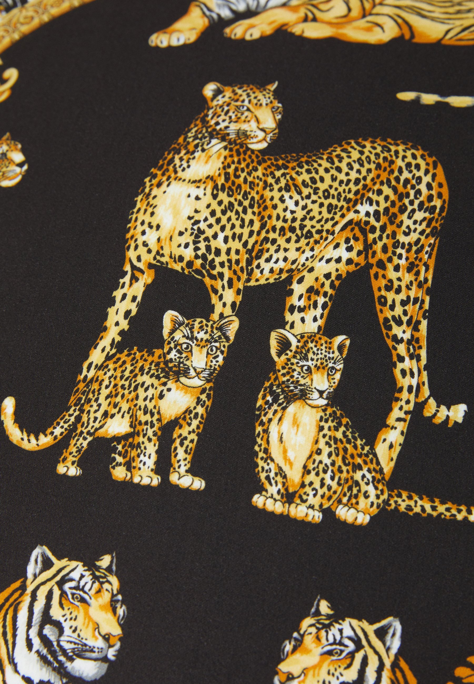 Versace kussens en kussenhoezen