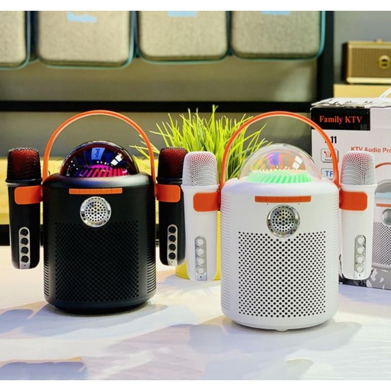 Enceinte karaoké Bluetooth Smartek avec lumière RGB