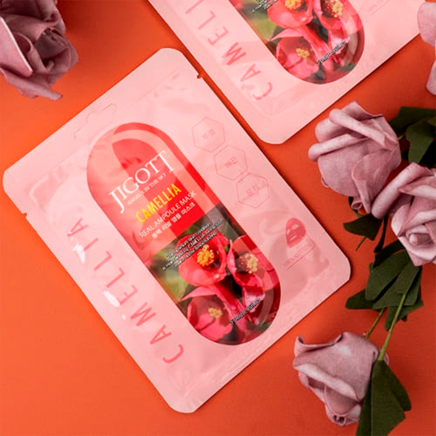 Jigott Camellia