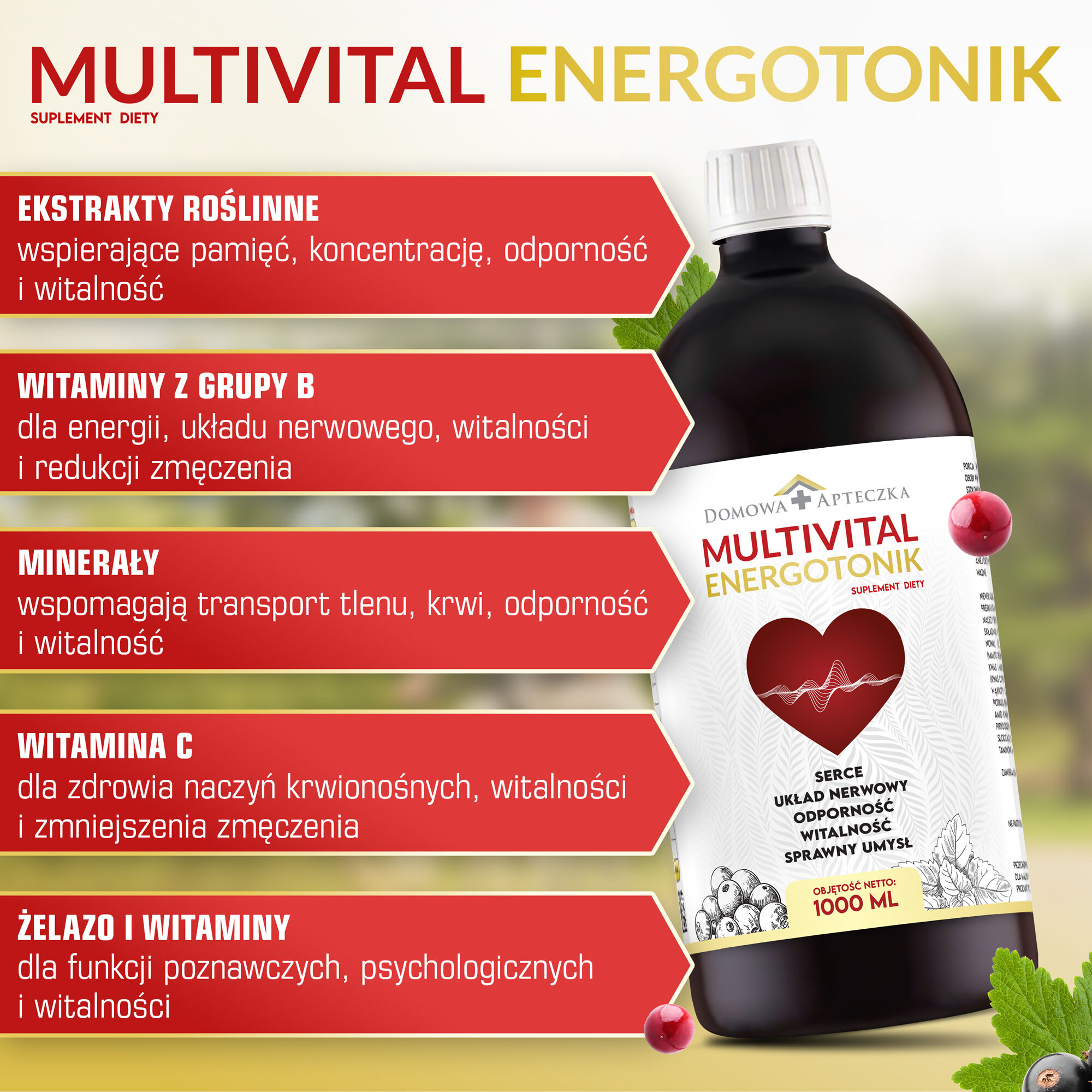 Farmacia domestica Multivitaminica Energetica