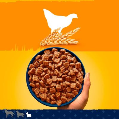 Pedigree Adulto di Piccola Razza - Tenera bontà con pollame