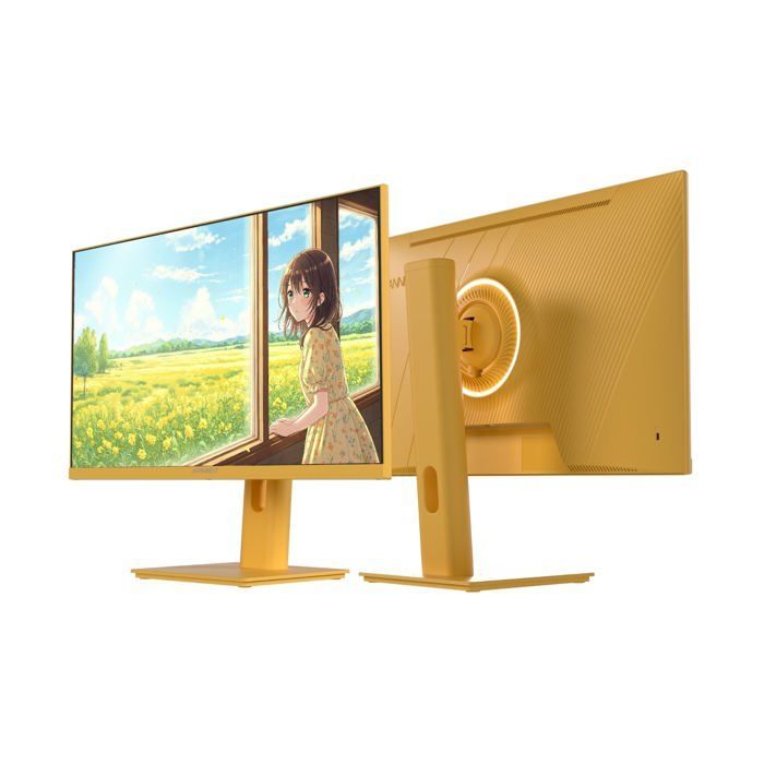 Ecran PC Gamer - JAPANNEXT - 23.8