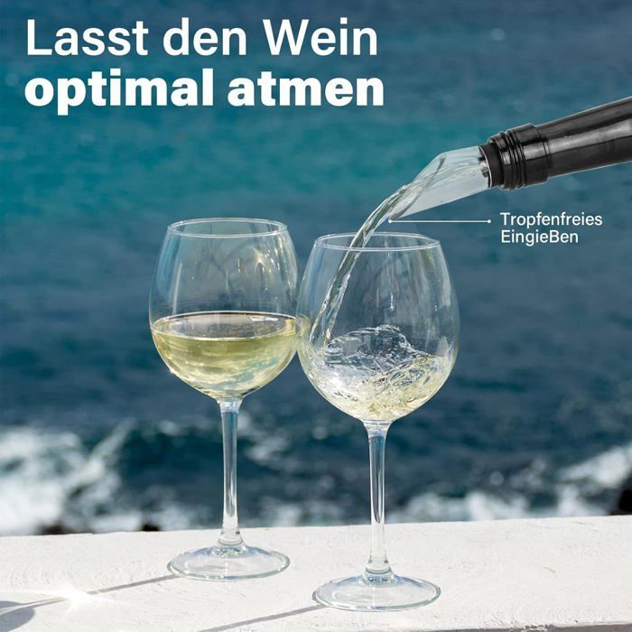 Rafraichisseur de Bouteille de Vin Bâton, Refroidisseur de Bouteille en Acier Inoxydable, Tige Refroidissante