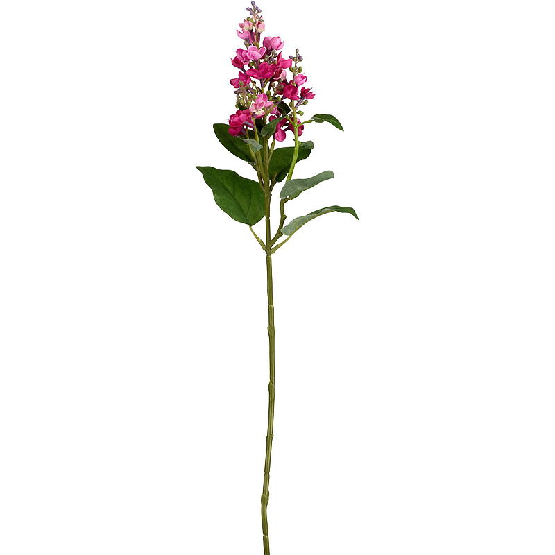 Hem Syrenstjälk 53 cm