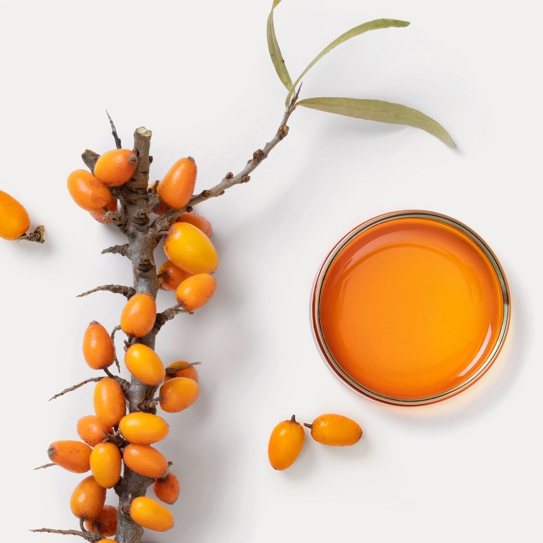 Dr. Hauschka Paakių serumas Regeneration Regeneruojantis intensyvus paakių serumas 15 ml - 15 ml