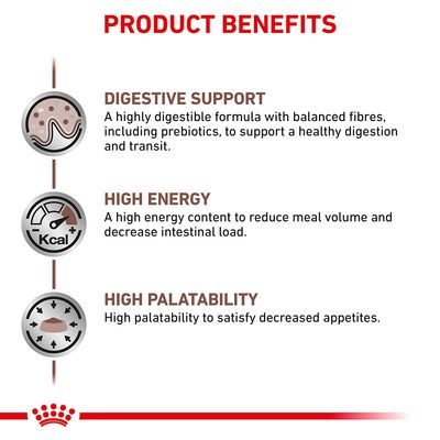 Royal Canin Veterinary Cat -ruoansulatusruoka