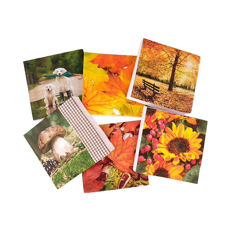 Vie Eco Servetten, 20 stuks, 33x33 cm, herfstseizoen