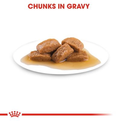 Royal Canin Maxi Ageing 8+ en sauce
