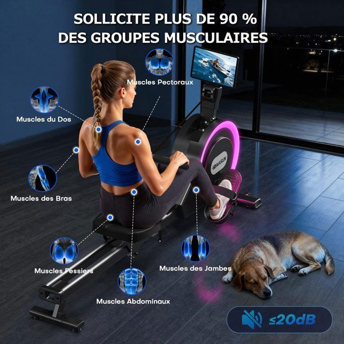 Vogatore da interno - DMASUN - Illuminazione RGB intelligente - Elettromagnetico - 32 livelli di resistenza - MAX 160 kg