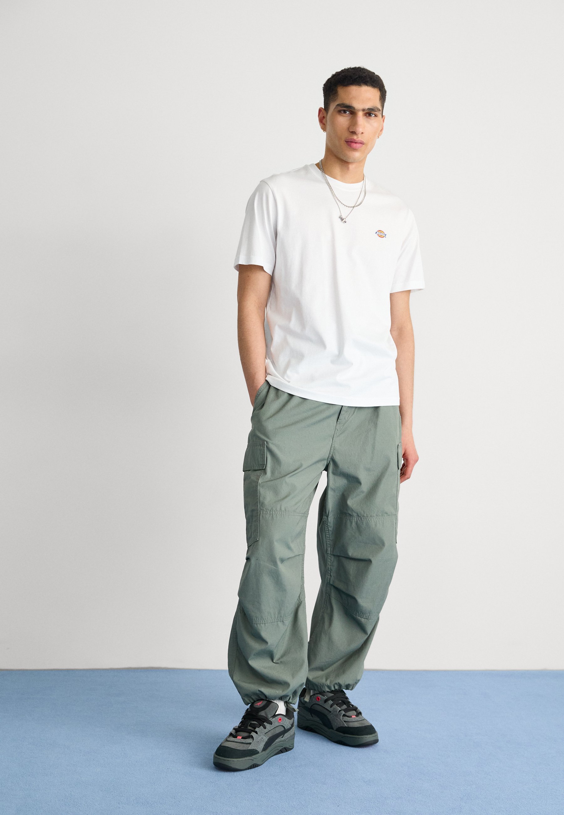 Dickies MAPLETON - Basic T-shirt - wit