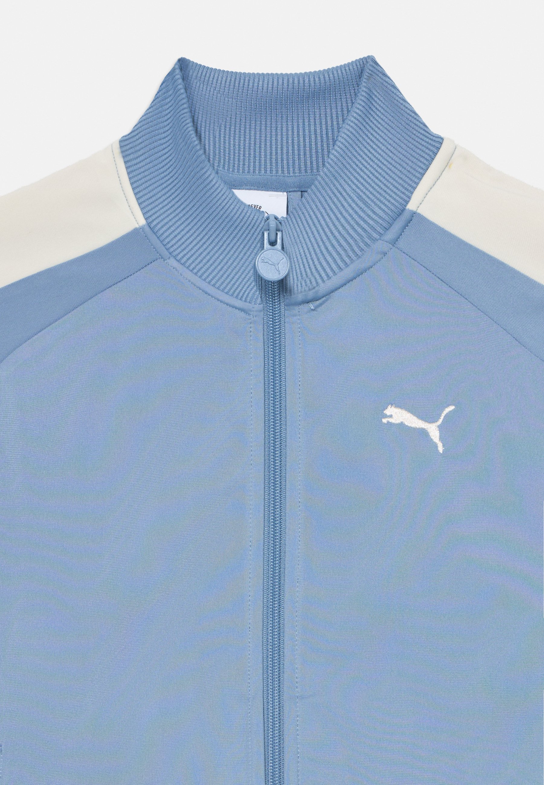 Giacca Puma ALWAYS ON TRACK - Giacca da allenamento - blu freddo
