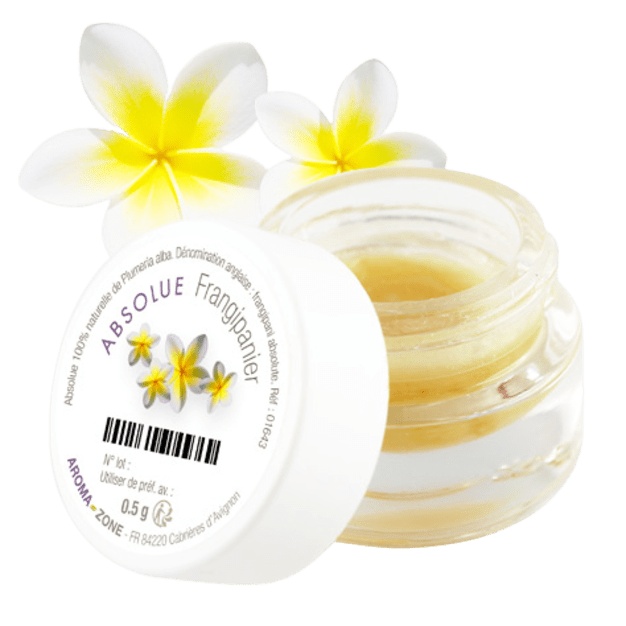 Frangipani bloem absolue