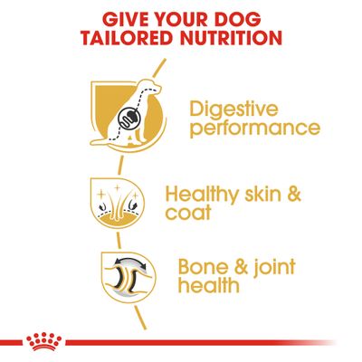 Royal Canin Németjuhász Felnőtt Kutyatáp