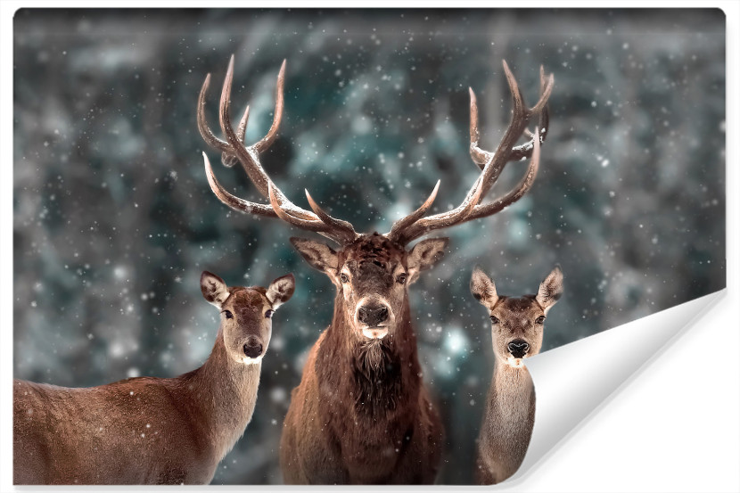 Fototapeta Dzikie Zwierzęta JELEŃ Las 3D 90x60cm