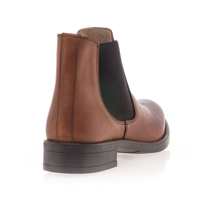 Boots / bottines Femme Marron