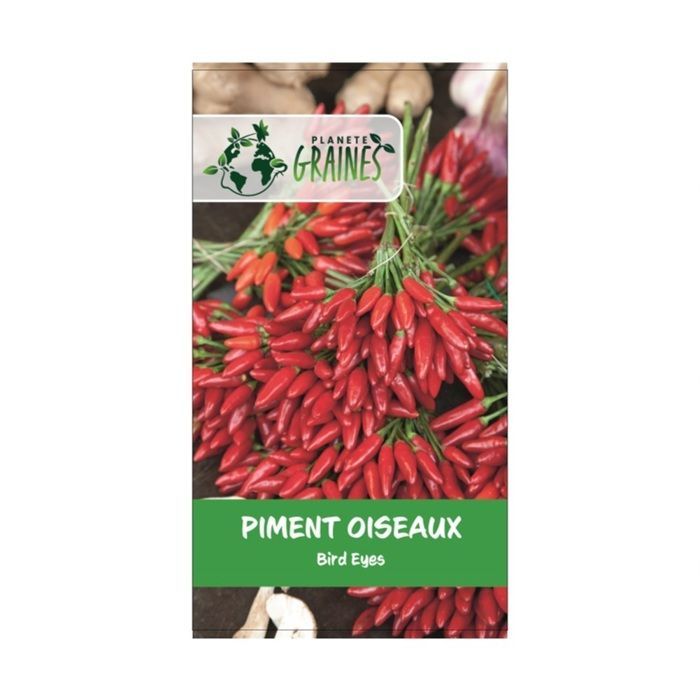 25 semillas de chile ojo de pájaro rojo: una variedad potente y productiva.