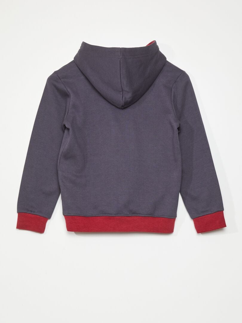 Sudadera con capucha de Harry Potter - GRIS