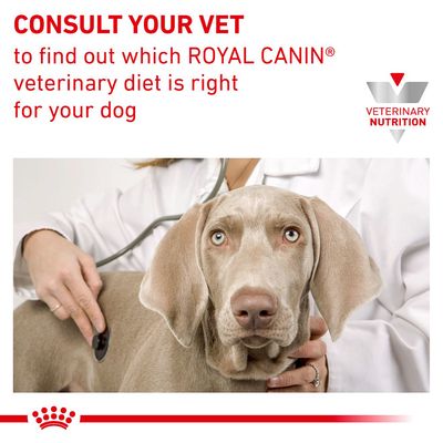 Royal Canin Veterinary Canine Gastrointestinal High Fibre