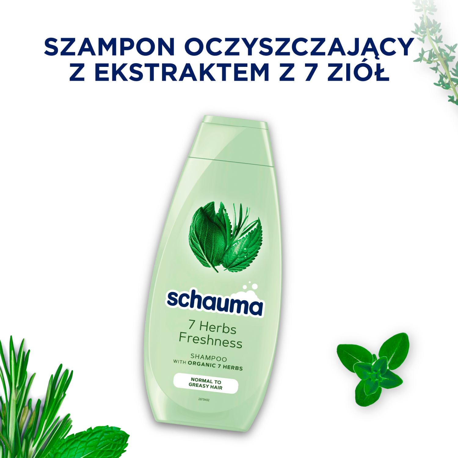 Schauma 7 Erbe