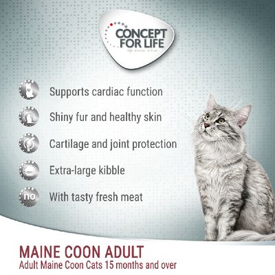 Concept for Life Maine Coon Adult