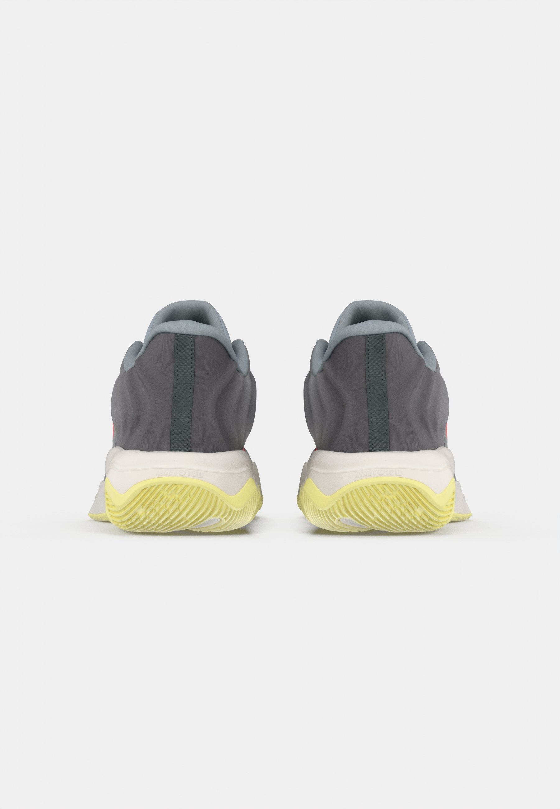 Nike Performance GIANNIS IMMORTALITY 4 - Basketbalschoenen - wolfgrijs/metallic zilverkleurig/summit wit