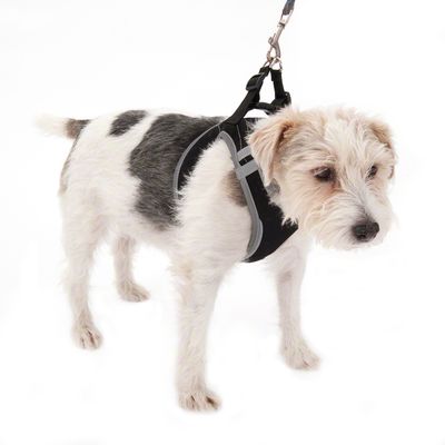 Pettorina per cani Feel Free Soft - Nera