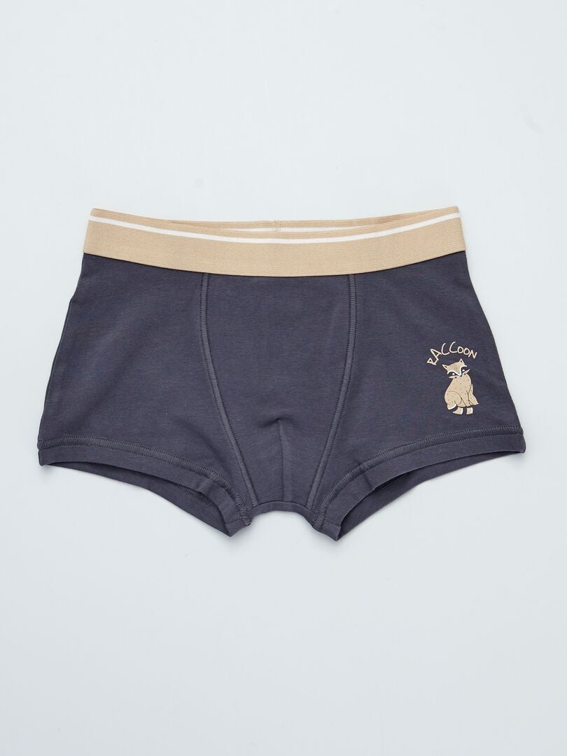 Set van 3 boxershorts - BRUIN
