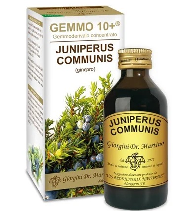 DR. GIORGINI Jeneverbes 100 ml Analco Gemmo 10+ Wellness voor de urinewegen