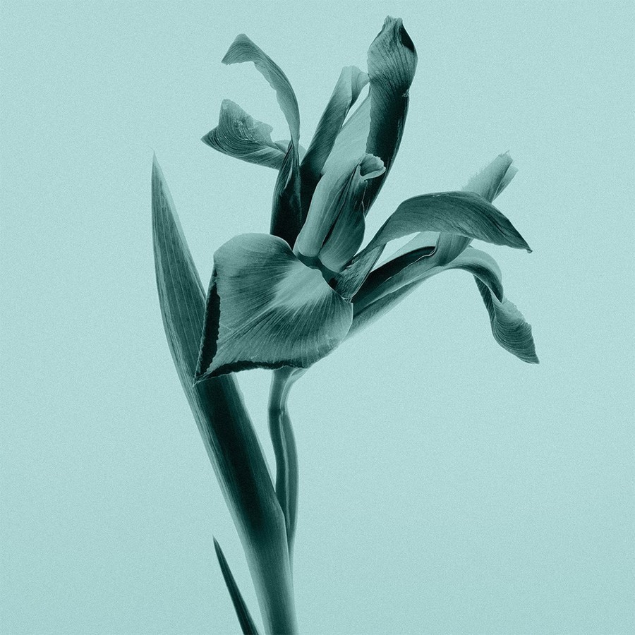 Parfumovaná voda Tiffany & Co. Parfumovaná voda Tiffany & Co. - 30 ml