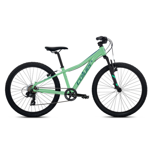 Bicicleta Junior 24