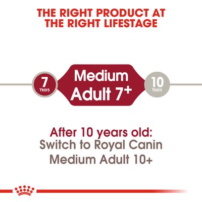 Royal Canin Taglia Media Adulto 7+