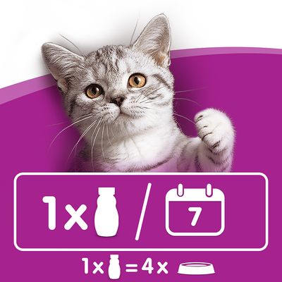 Latte per gatti Whiskas 6 x 200 ml