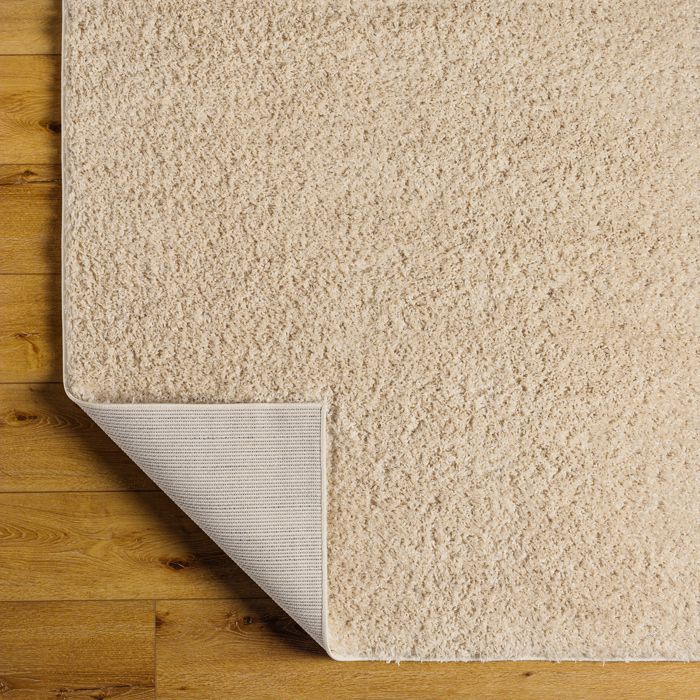 LIVABLISS Tapis de Salon à Poils Longs Doux Shaggy Uni Chic SOSO 160x213cm Beige